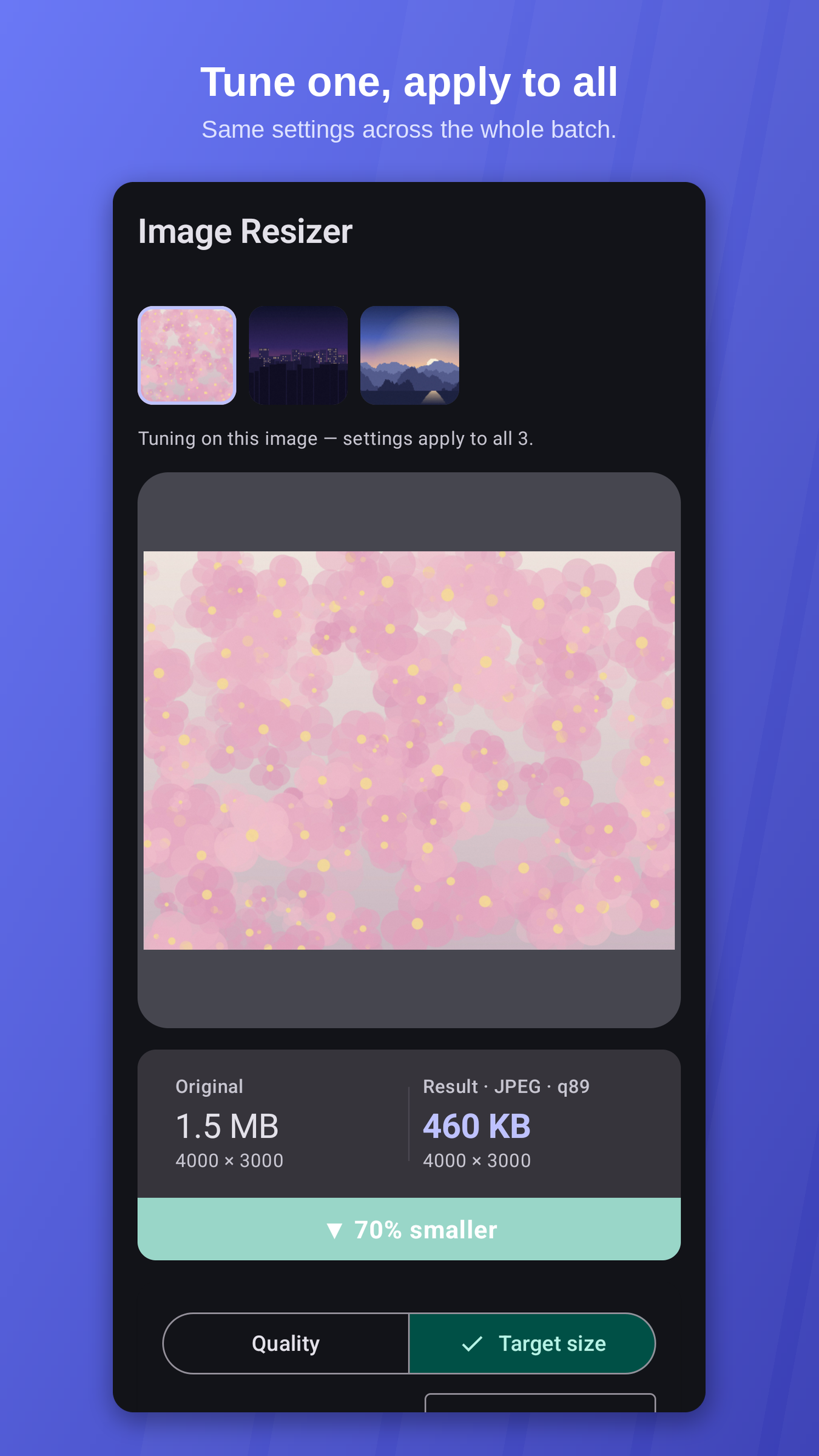 Image Resizer — batch selection